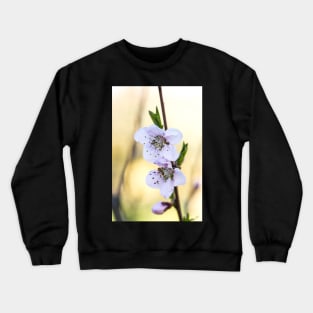 Fruit tree blossoms in spring Crewneck Sweatshirt